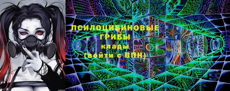 купить  сайты  Бор  Галлюциногенные грибы MAGIC MUSHROOMS 